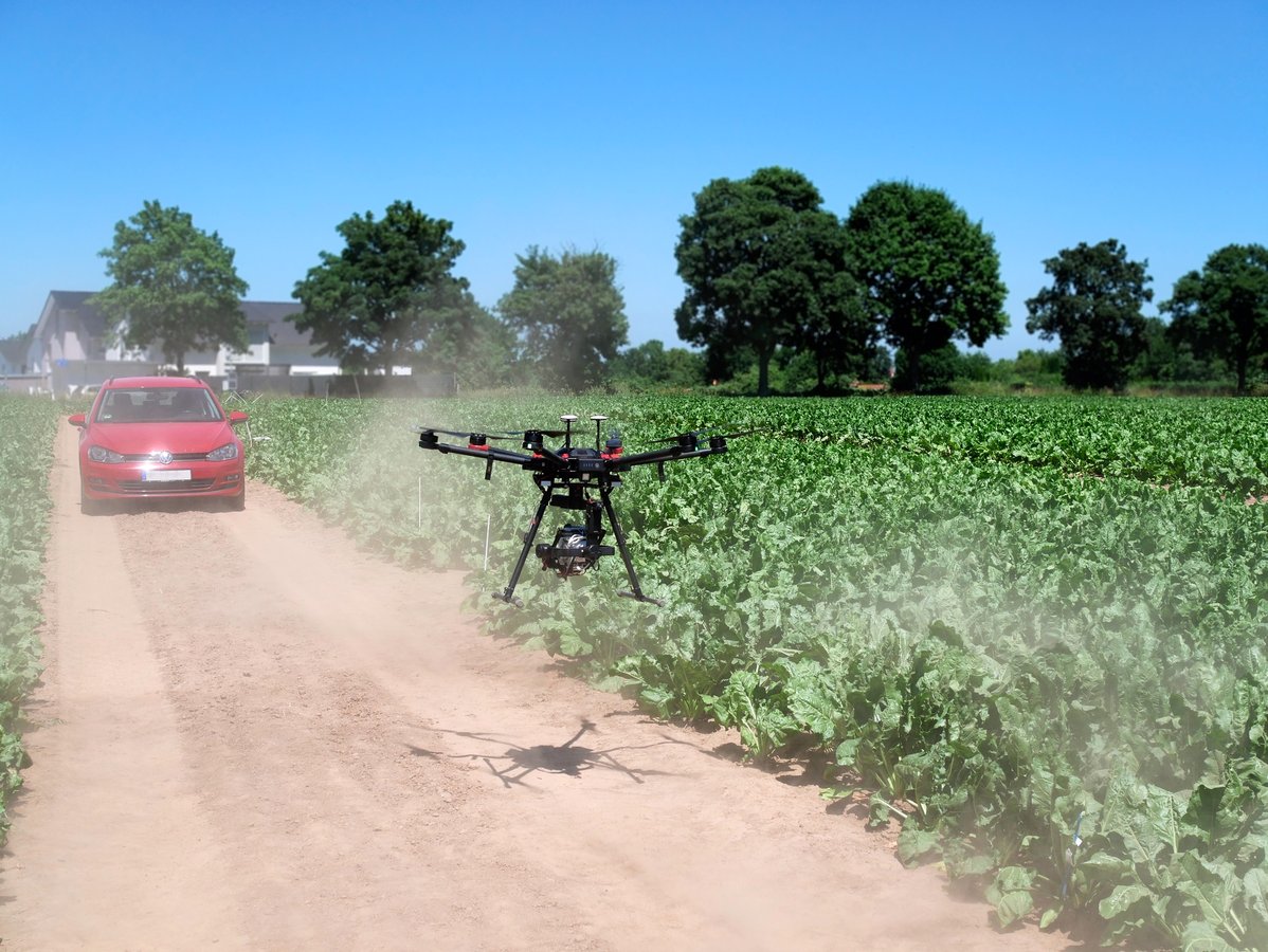 HAIP-Drohne befliegt Zuckerrübenfeld