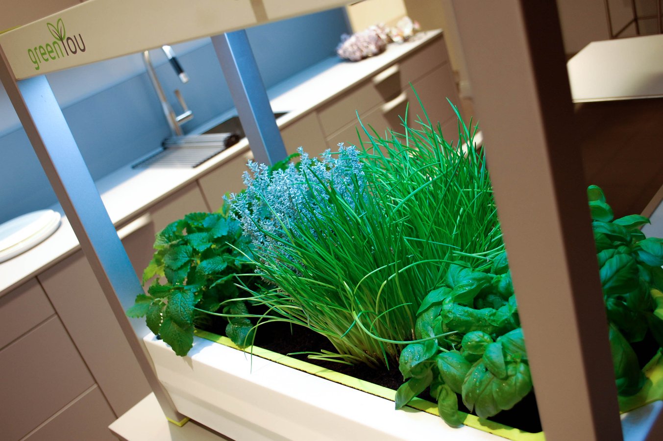 GreenUnit urban Indoorgarden mit Basilikum, Lauch, Melisse und Thymian