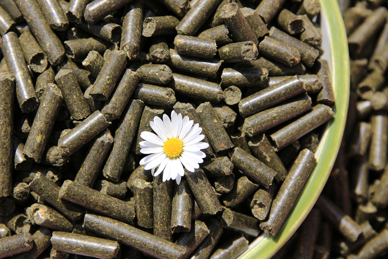 KleePura-Pellets