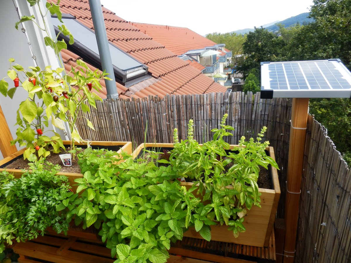 Solar-betriebenes Geco-Gartensystem mit 3 Pflanzwannen auf Privatbalkon in Freiburg i. Br.