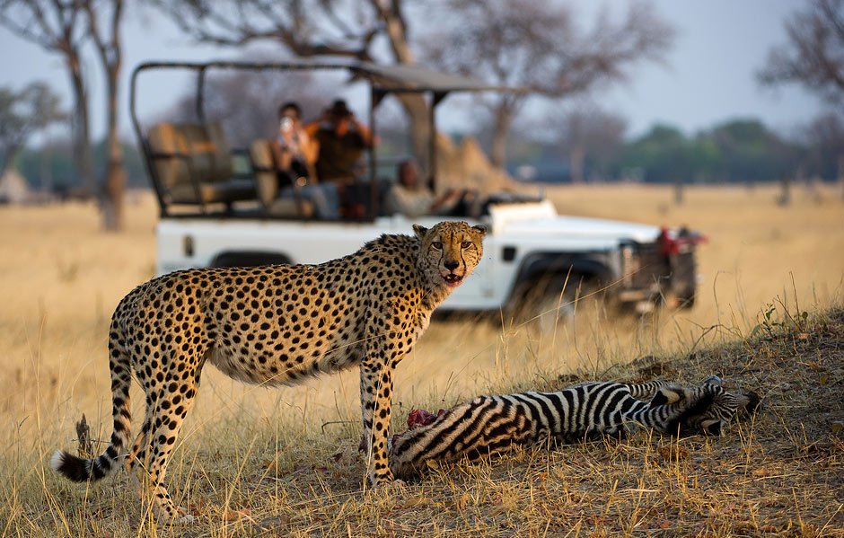 Ein respektvoller Tourismus ist zentral für eine nachhaltige Entwicklung ©Wilderness Safaris